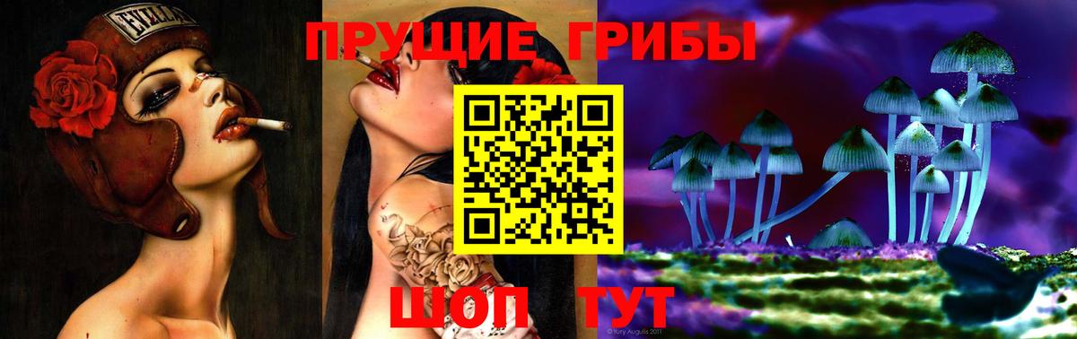 Псилоцибиновые грибы Psilocybine cubensis  Вход с VPN  Майкоп 