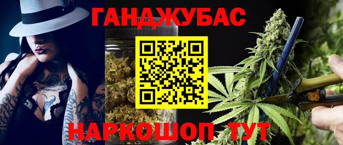 Бошки марихуана гибрид Майкоп
